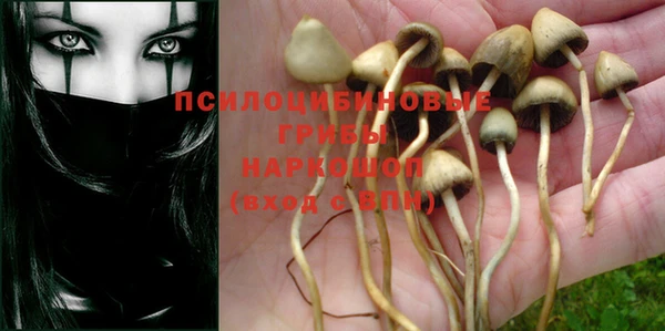 MESCALINE Гусь-Хрустальный