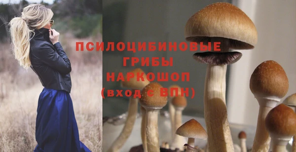 герыч Гусиноозёрск