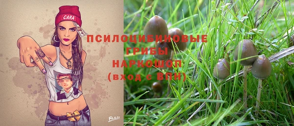 молекула духа Горнозаводск
