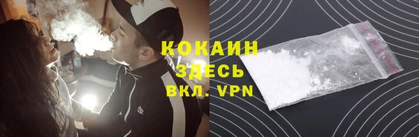 кокс Гусев