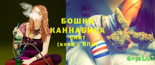 амф Горняк